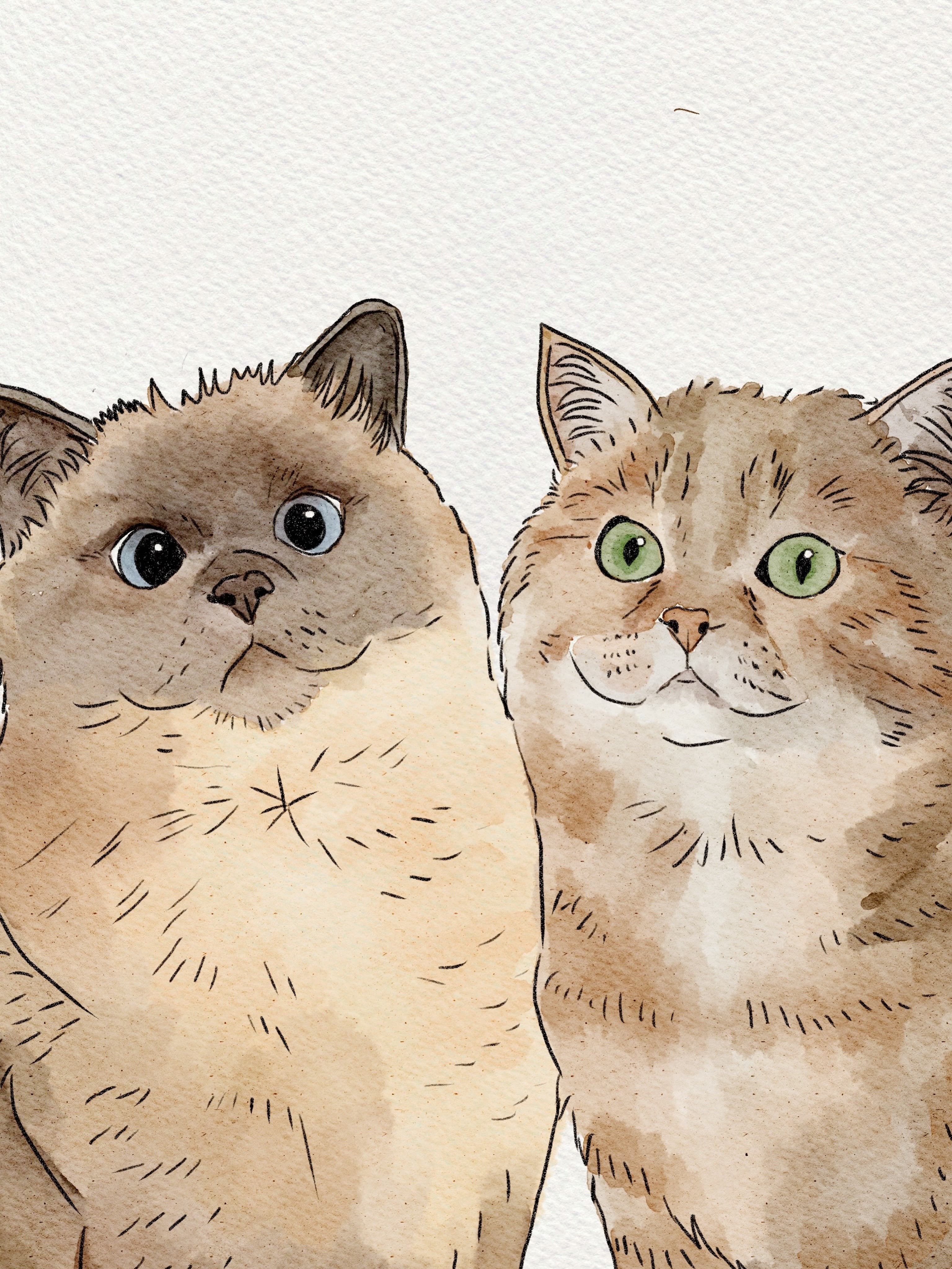 Whimsical watercolor illustration of a blue-eyed Siamese cat and a green-eyed ginger cat.