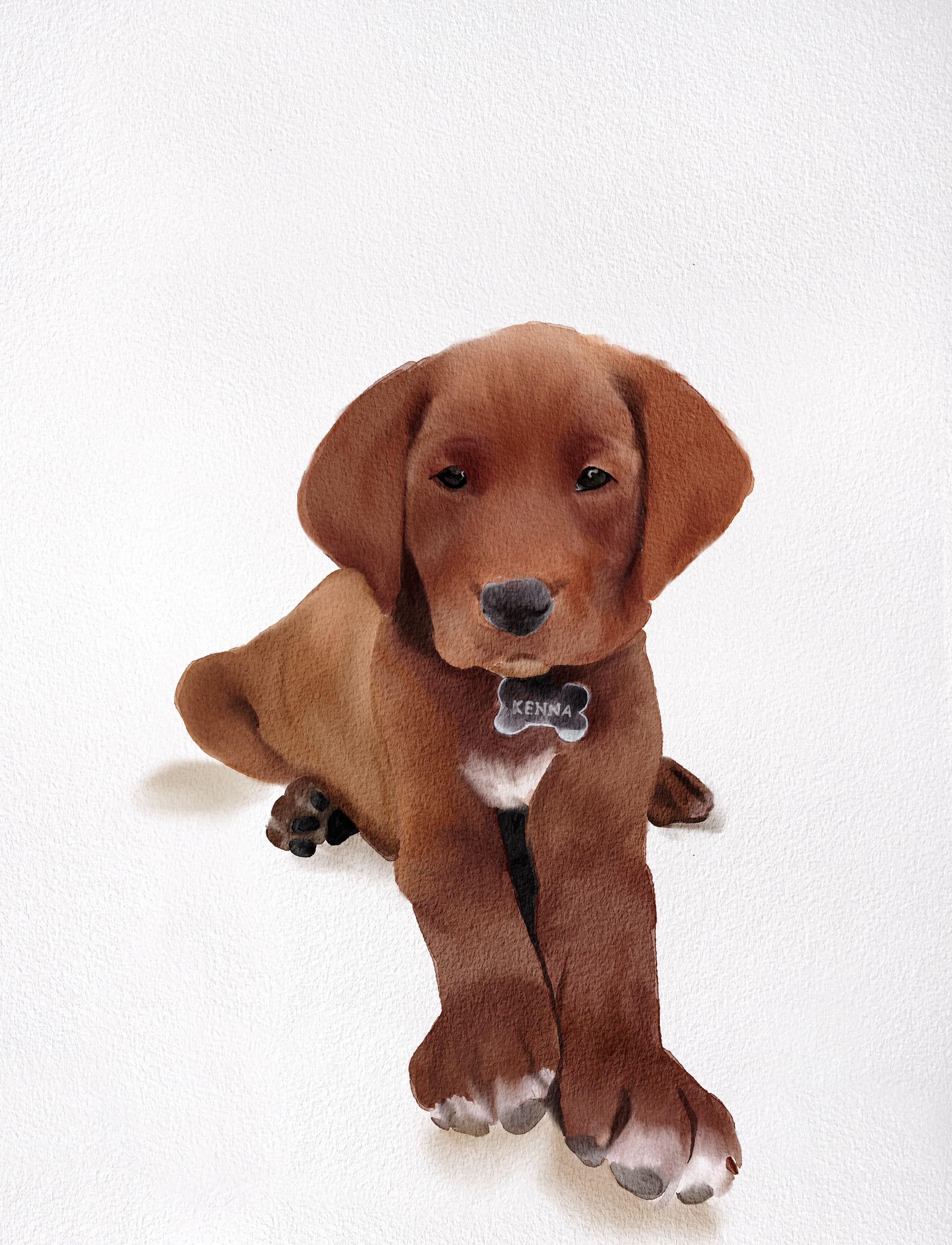 Watercolor illustration of a brown puppy named Kenna sitting with its front paws crossed.